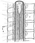 thumbs/24.jpg