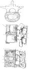 thumbs/35.jpg