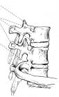 thumbs/36.jpg