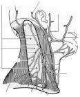 thumbs/40.jpg