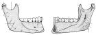 thumbs/51.jpg