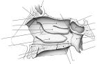 thumbs/65.jpg