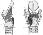 thumbs/84.jpg