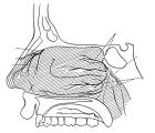 thumbs/13.jpg