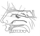 thumbs/15.jpg
