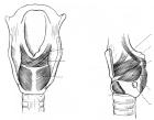 thumbs/2.jpg