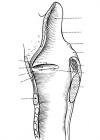 thumbs/3.jpg