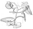 thumbs/41.jpg