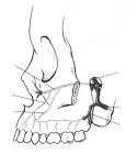 thumbs/56.jpg