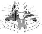 thumbs/74.jpg