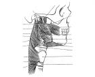 thumbs/9.jpg