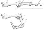 thumbs/1.jpg
