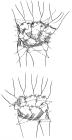 thumbs/109.jpg