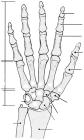 thumbs/12.jpg