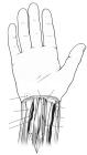 thumbs/14.jpg