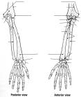 thumbs/15.jpg