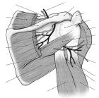 thumbs/27.jpg