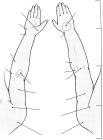 thumbs/30.jpg