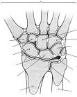 thumbs/31.jpg