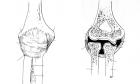 thumbs/34.jpg