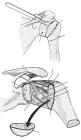 thumbs/4.jpg