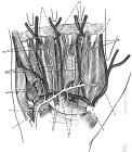 thumbs/40.jpg