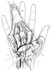 thumbs/43.jpg