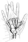 thumbs/44.jpg