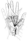 thumbs/46.jpg