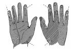 thumbs/47.jpg