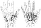 thumbs/48.jpg