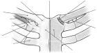 thumbs/5.jpg