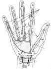 thumbs/54.jpg