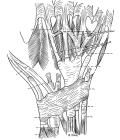 thumbs/55.jpg