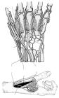 thumbs/6.jpg