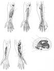 thumbs/66.jpg