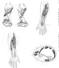 thumbs/67.jpg