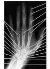 thumbs/77.jpg
