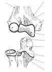 thumbs/79.jpg