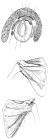 thumbs/85.jpg