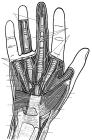 thumbs/9.jpg